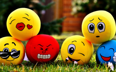 MINDFULNESS,  EMOZIOAK  KUDEATZEKO  TRESNA